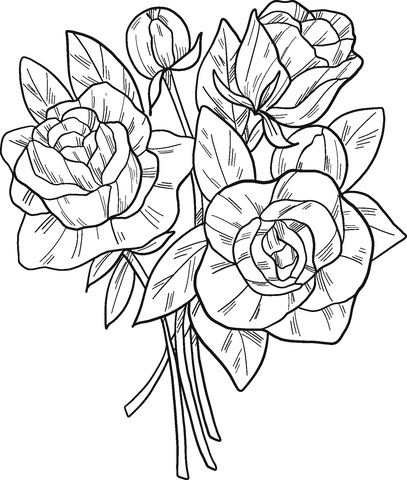 Coloring book modest bouquet of roses